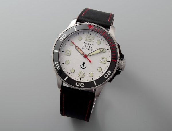 TCM Delfino Argento1