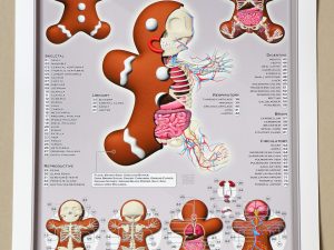 Lot #14335 – Jason Freeny Gingerbread Man Dissected Print Limited Edition of 75 Art Jason Freeny