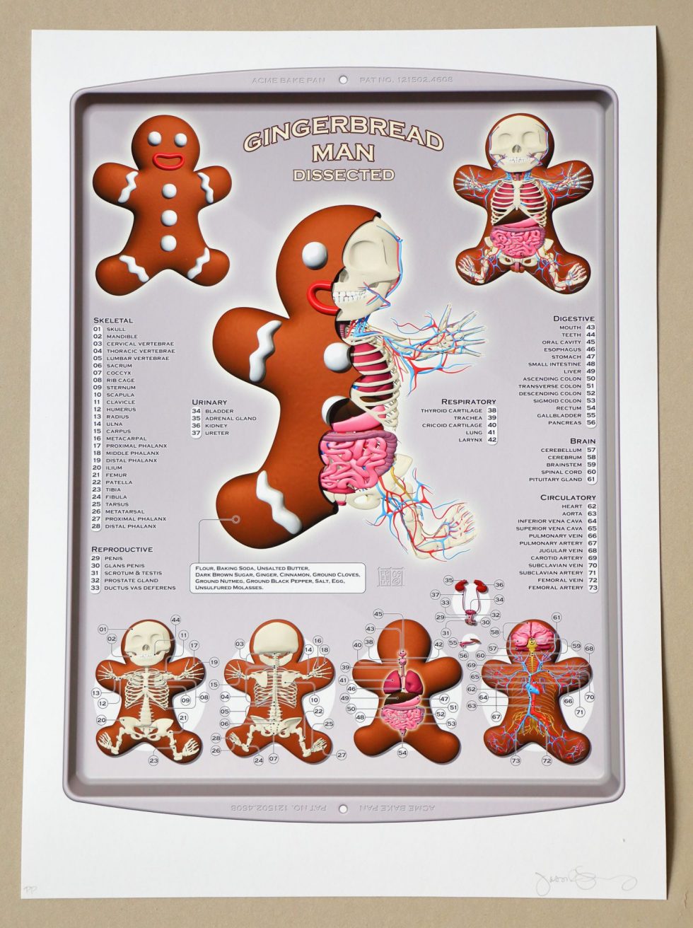 Lot #15022 – Jason Freeny Gingerbread Man Dissected Print Limited Edition of 75 Art Archival Pigment Print